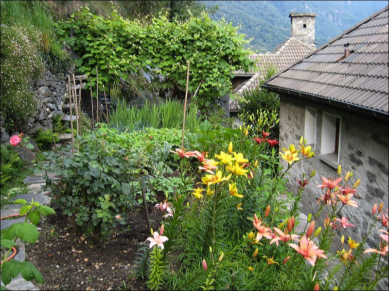 03-haus_mit_garten
